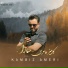 Kambiz Ameri