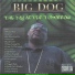 Big Dog