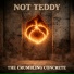 Not Teddy