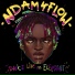 ndam4flow