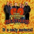 The Beatniks