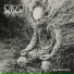 Crust