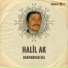 Halil Ak