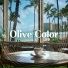 Olive Color