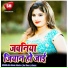 Alha Dilwale Dehatiya