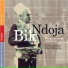 Bik Ndoja