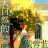 钱蓉蓝