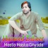 Hameed Zaheer