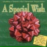 Amy Grant