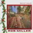 Rob Miller