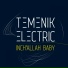 Temenik Electric