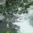 奇小二