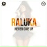 Новинка 2014 - Raluka & Connect R - Never Give Up-