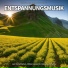 Einschlafen, Entspannungsmusik, Schlafmusik