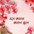 Noyan Shil