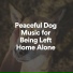 Dog Music Experience