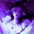 Tolstov Remix