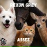 Rexon Grey