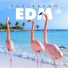 Beach Party Chillout Music Ensemble