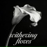 Withering Flores