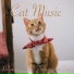Cat Music, Cat Music Dreams, Cat Music Therapy