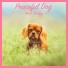 Dog Music Dreams, Dog Music, Relaxmydog