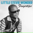 Little Stevie Wonder