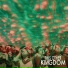This Other Kingdom