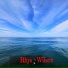 Rhys Wilson