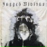 Jagged Visions