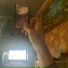 dontizzz