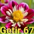 GETIR 67