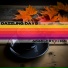 Dazzling Days