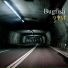 Bugfish