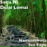 Savu Ni Delai Lomai