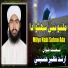 Arshad Nazeer Hussaini