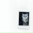 kittysweater