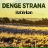 Denge Strana