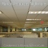 Human Resources Nightmare