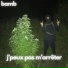 Bamb