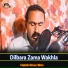 Habib Khan Btm