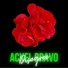 Acxel Bravo