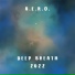 A.e.r.o., Albert Sipov