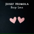 Josef Homola