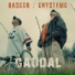 BASCUR, Chystemc