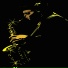 bigsax