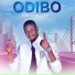 Odibo