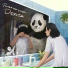 Panda & Little Penguin