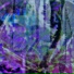 XPRNC