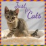 Cat Music, RelaxMyCat, Cat Music Therapy